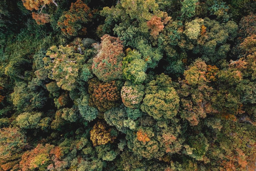 5-ways-to-make-your-website-more-sustainable